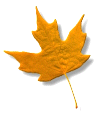 Image of leaf-orngbln1.gif