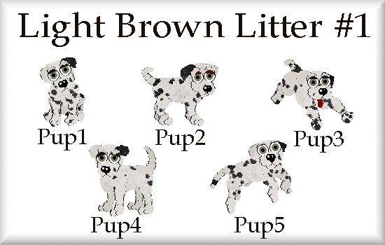 Brown eyed litter #1