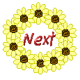 Image of snext1.gif